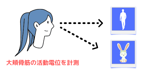 生理前と生理後の性欲を調査する実験