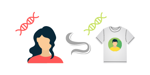 Tシャツの匂いを嗅ぐ実験