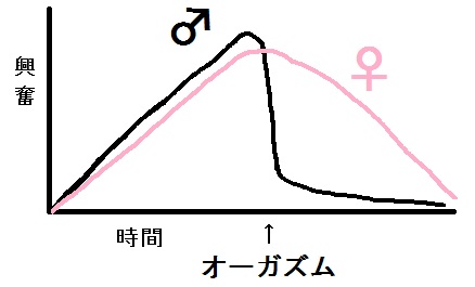 セックスの盛り上がり方の男女差