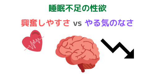 睡眠不足の性欲の仕組み