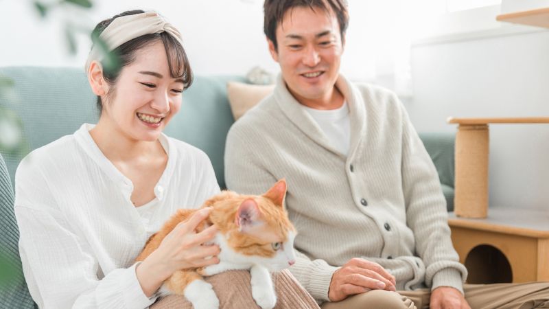 同棲中のカップル